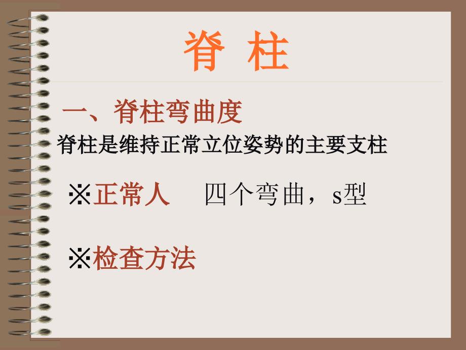 脊柱及四肢体格检查.ppt_第2页