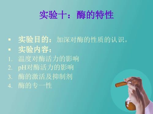 酶的特性实验.ppt