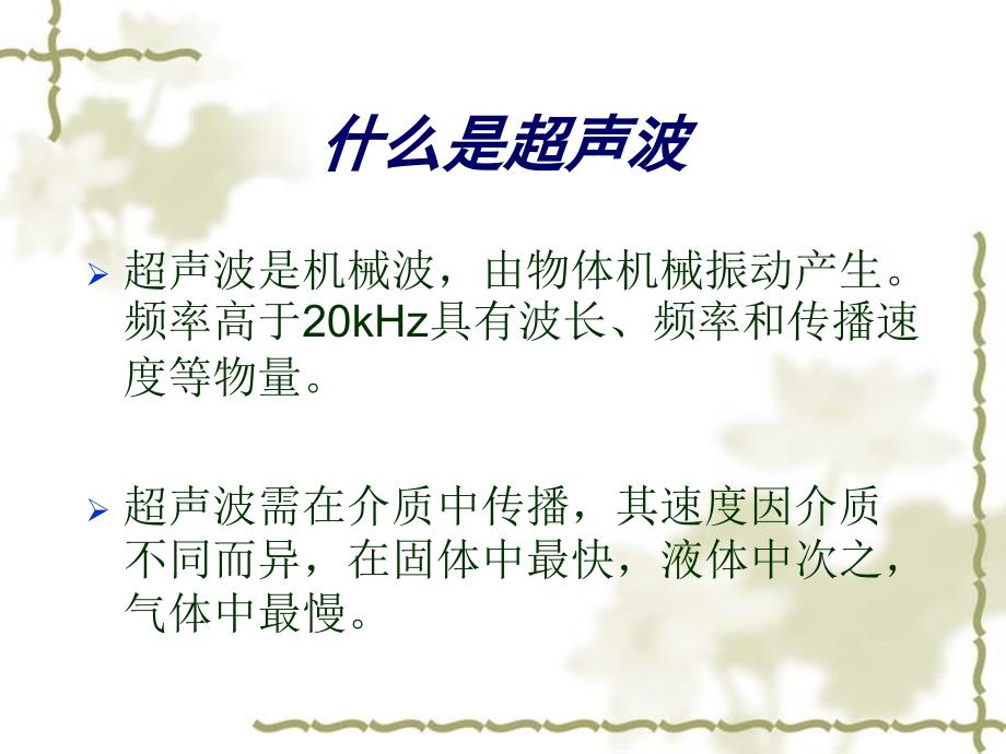 超声基础培训PPT课件.ppt_第2页