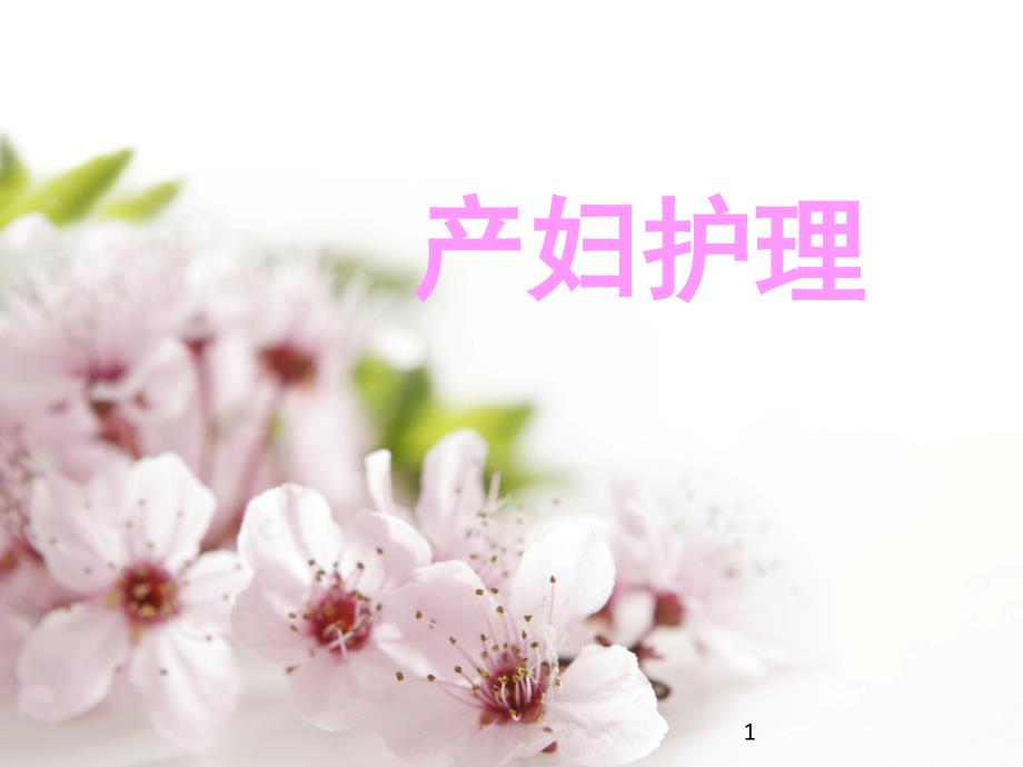 顺产产妇护理PPT课件.ppt_第1页