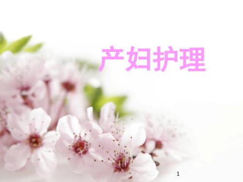 顺产产妇护理PPT课件.ppt