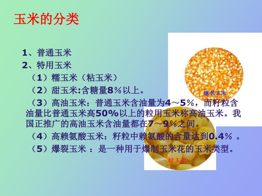 粘玉米种植技术.ppt_第2页