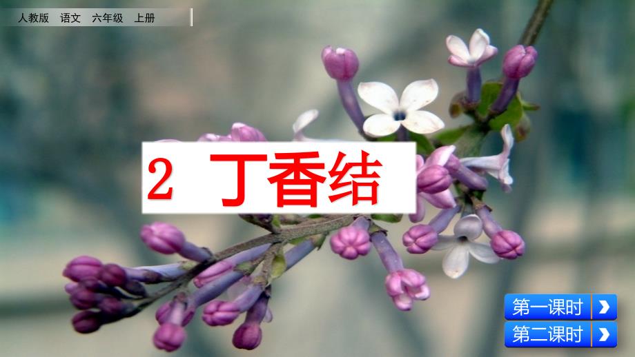 部编六年级上册语文第2课丁香结教学课件.ppt_第2页