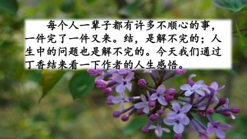 部编六年级上册语文第2课丁香结教学课件.ppt