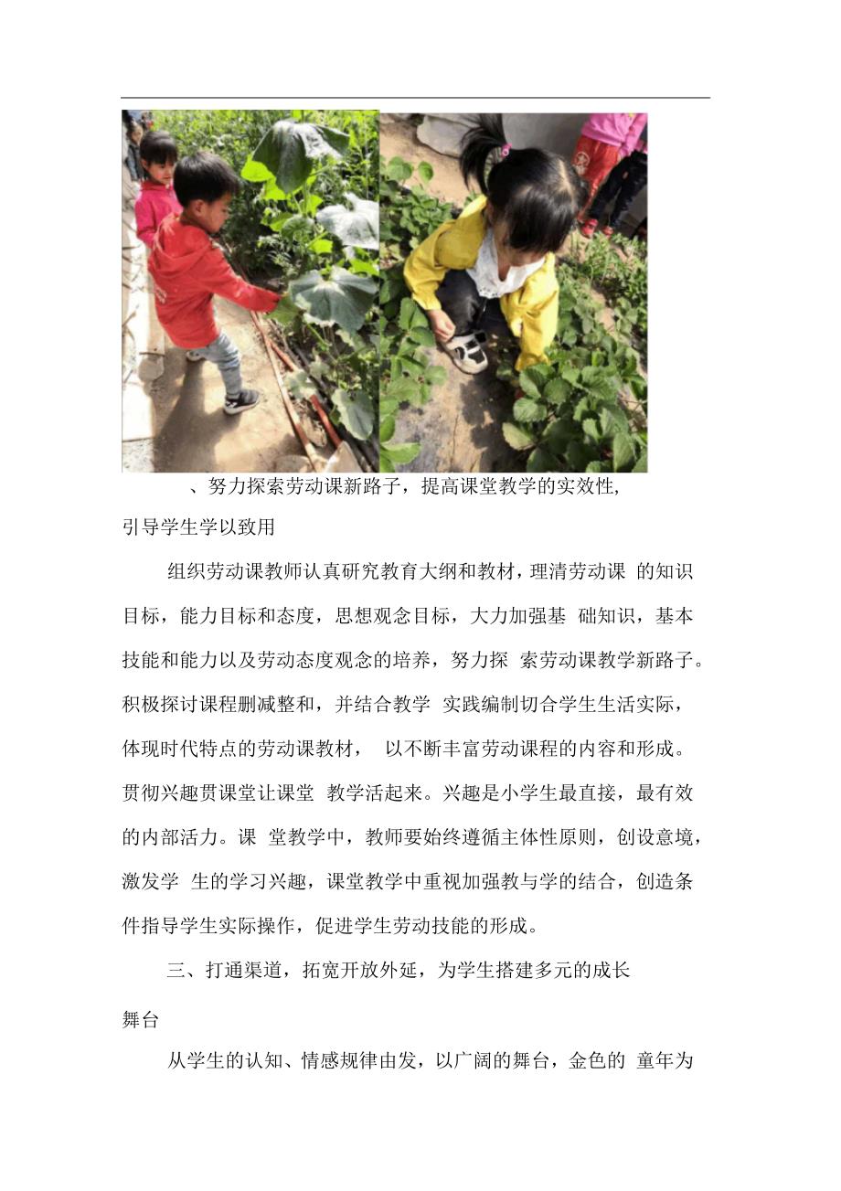 第三小学关于加强小学生劳动教育活动总结.docx_第2页