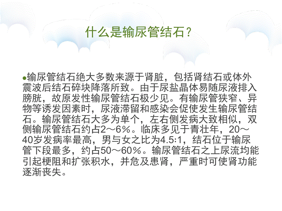 输尿管结石的护理.PPT_第2页