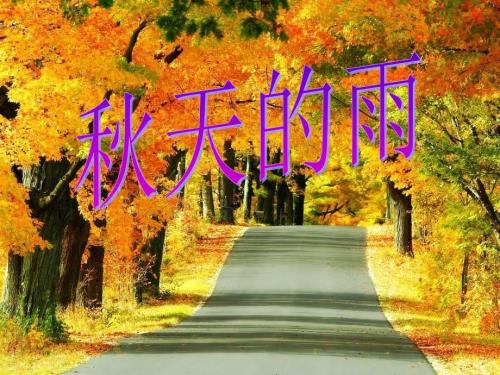 天的雨说课稿PPT课件.ppt