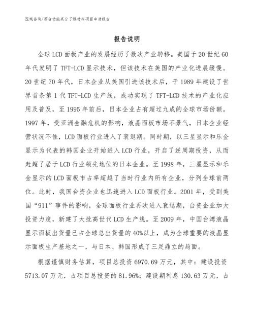 邢台功能高分子膜材料项目申请报告范文.docx