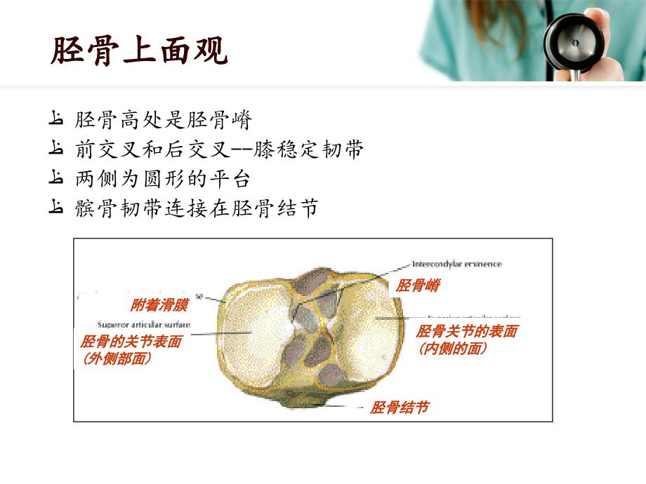 胫骨平台骨折课件.ppt_第3页