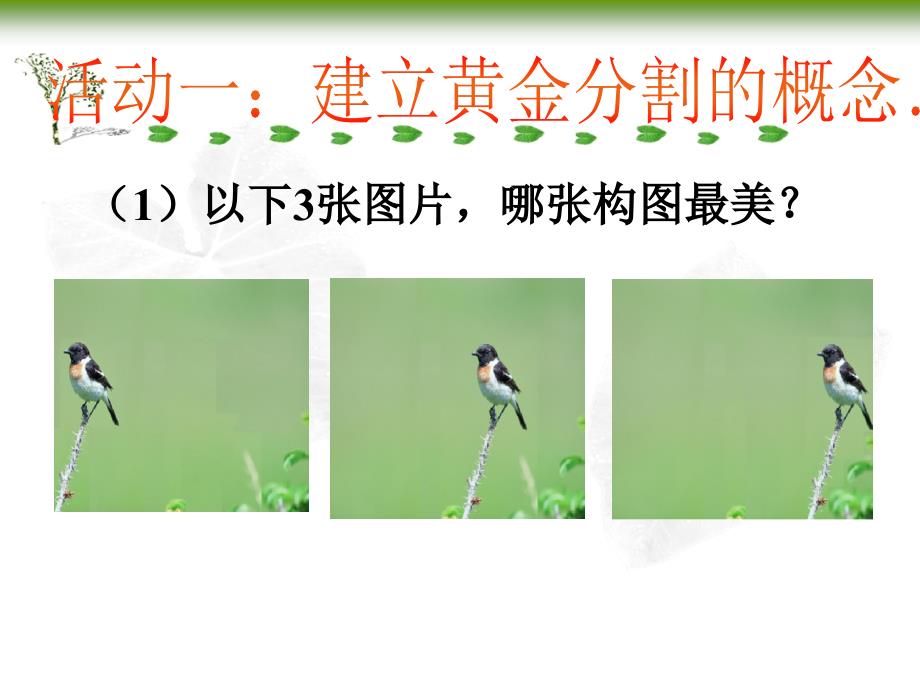 黄金分割PPT课件.ppt_第2页