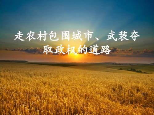 走农村包围城市道路的原因及过程.ppt