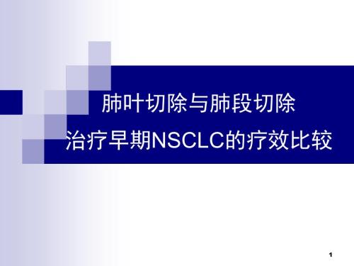 肺叶与肺段比较.ppt