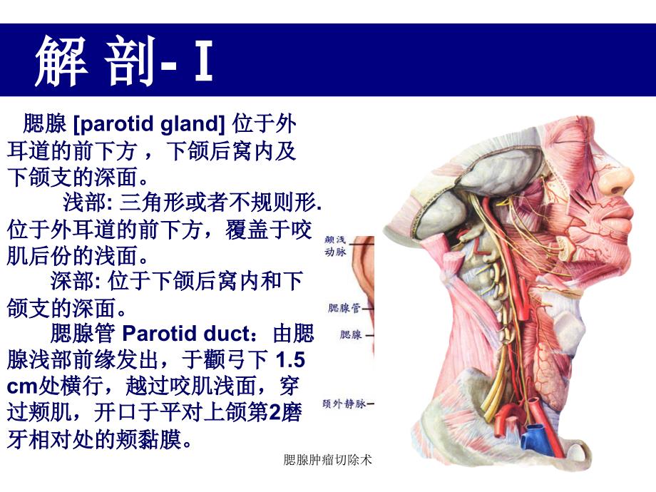 腮腺肿瘤切除术课件.ppt_第3页
