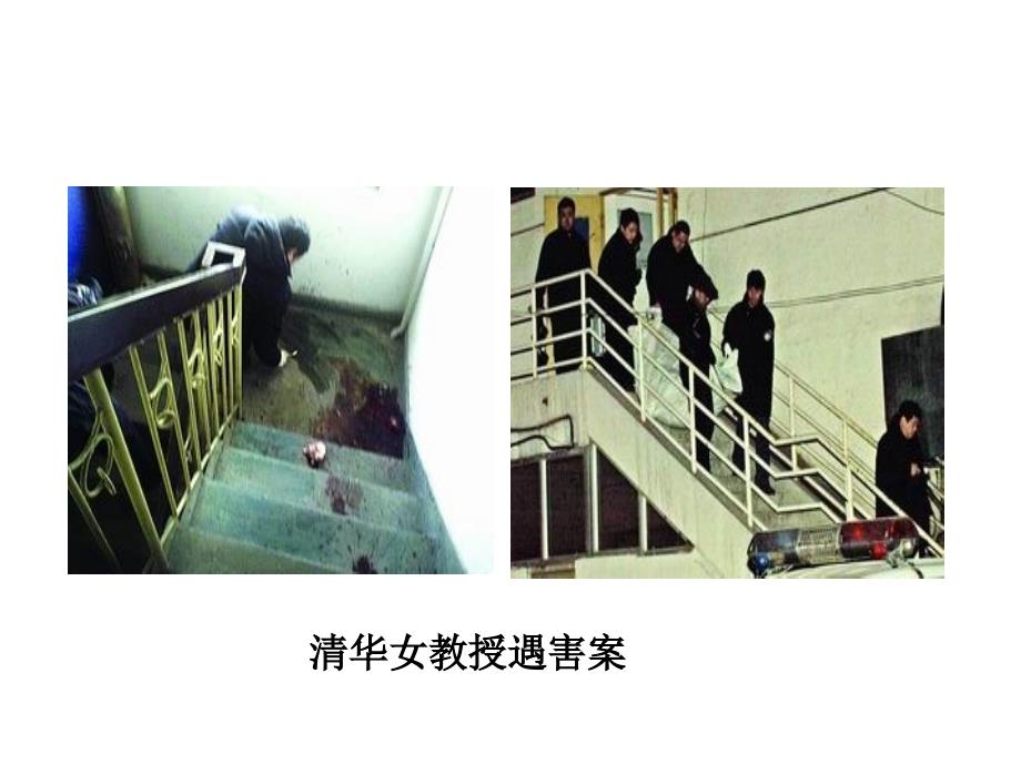 证据的种类PPT课件.ppt_第3页