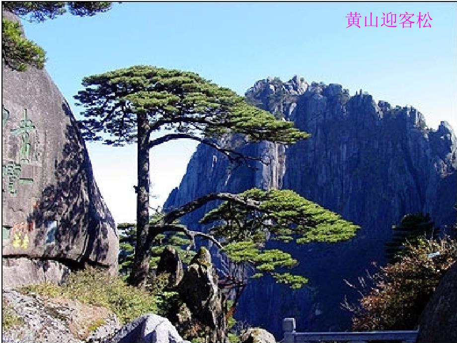 祖国山川颂黄药眠PPT课件.ppt_第3页