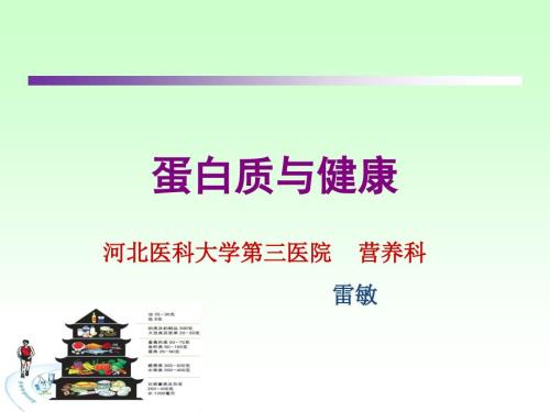 蛋白质与健康课件.ppt