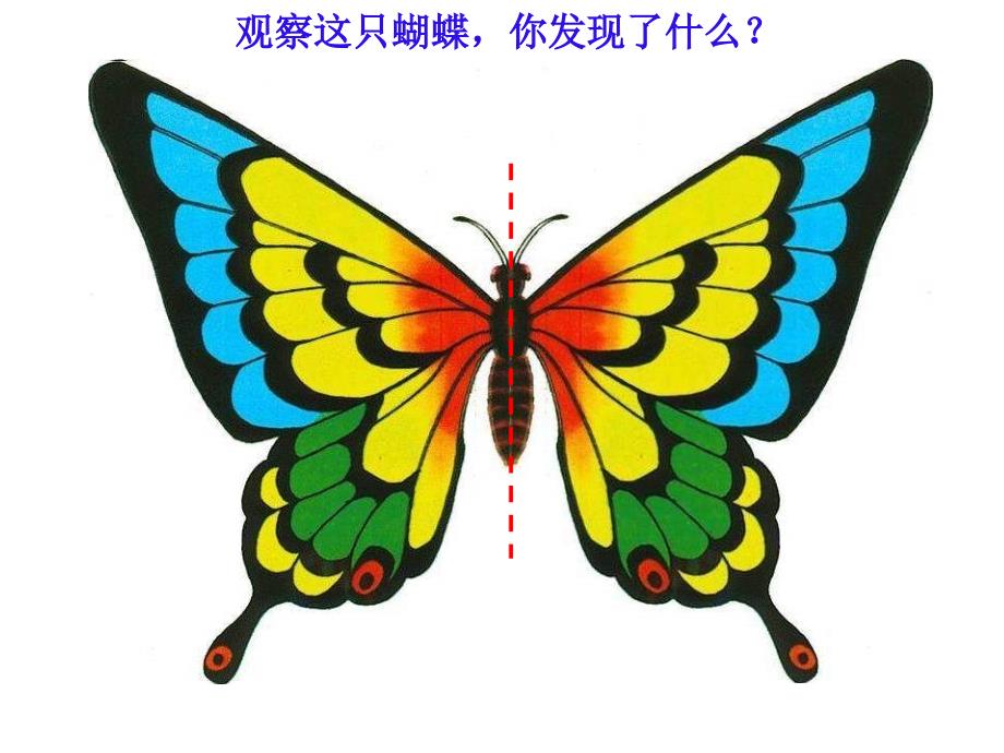 西师大版数学三下轴对称图形课件之七.ppt_第3页