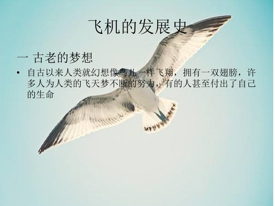 飞行器发展史PPT课件.ppt_第2页
