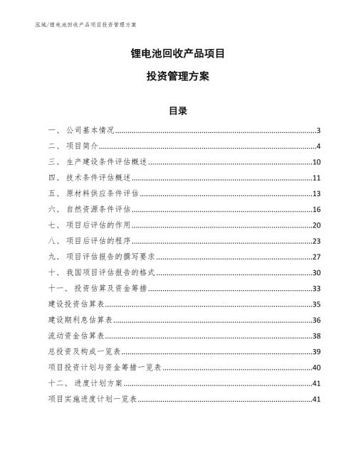 锂电池回收产品项目投资管理方案.docx