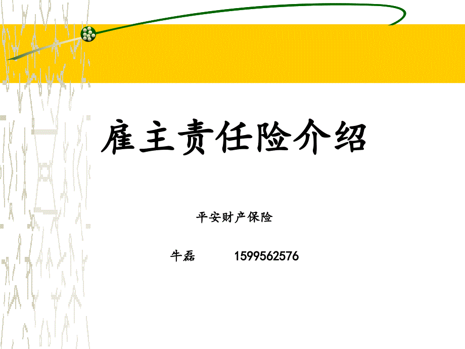 雇主责任险PPT课件.pptx_第1页