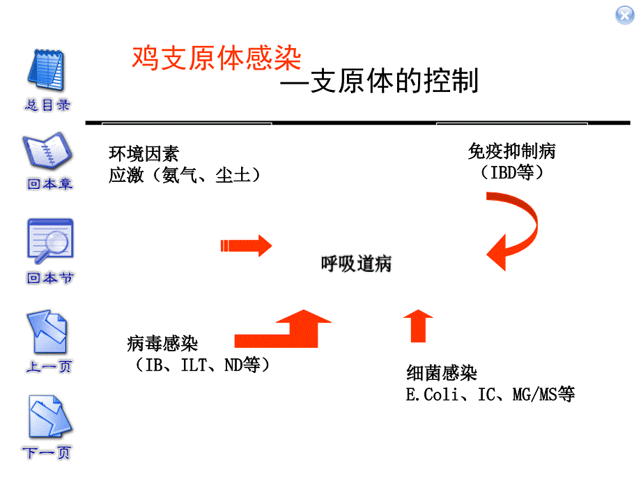 鸡的支原体感染PPT课件.ppt_第3页