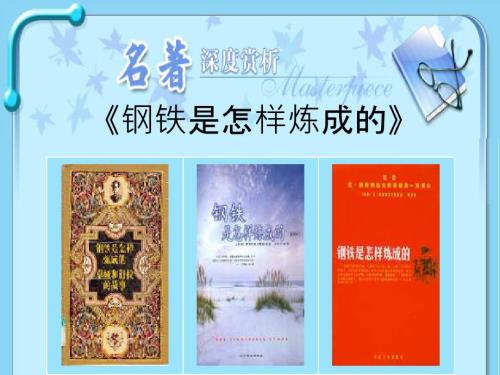 钢铁是怎样炼成的.ppt