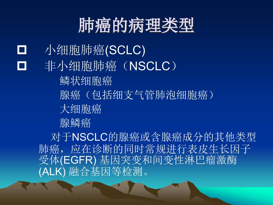 肺癌内科治疗.ppt_第2页
