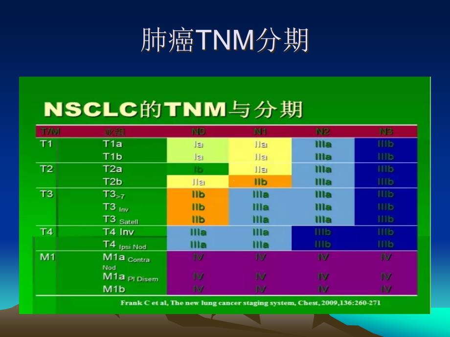 肺癌内科治疗.ppt_第3页