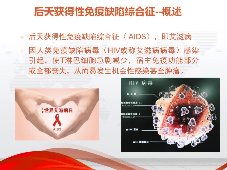 艾滋病营养治疗.ppt_第2页