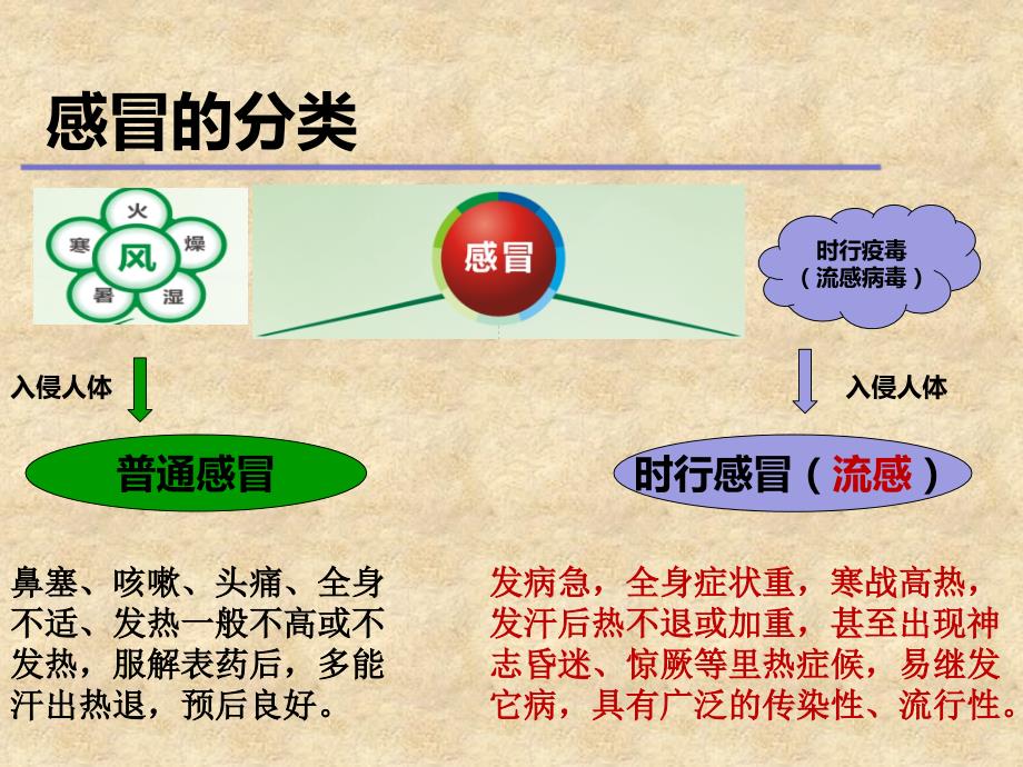 预防感冒患者教育.ppt_第2页