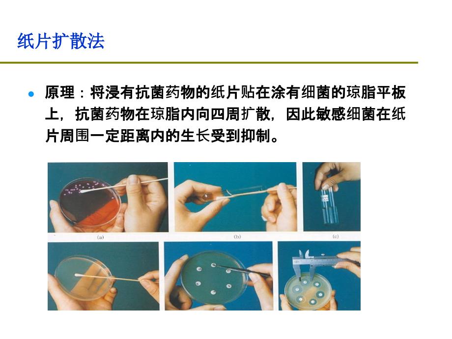 胡付品不常见药敏结果阅读.ppt_第3页