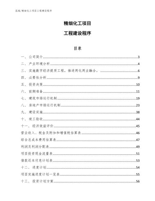精细化工项目工程建设程序参考.docx