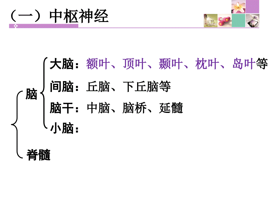 神经系统疾病常见症状体征课件.ppt_第3页