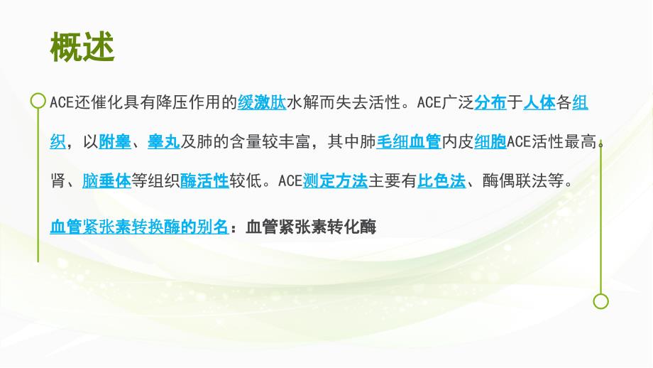 血管紧张素转化酶课件.ppt_第3页