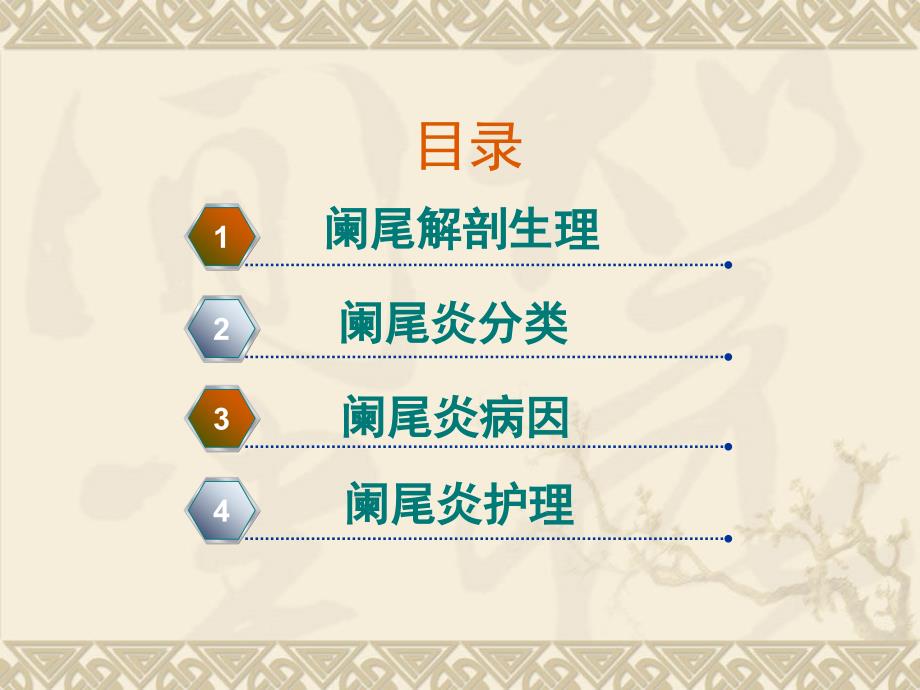 阑尾炎业务学习PPT课件.ppt_第2页