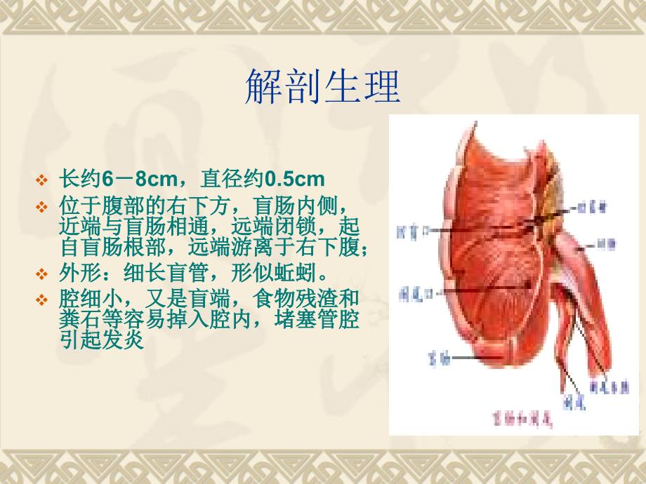 阑尾炎业务学习PPT课件.ppt_第3页