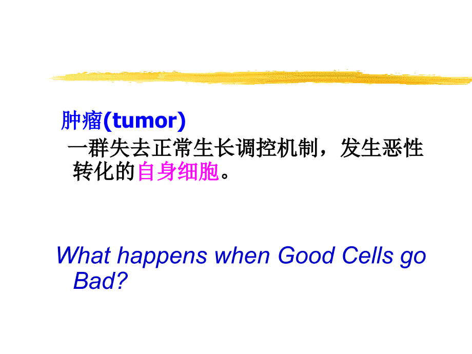 肿瘤免疫PPT课件.ppt_第2页