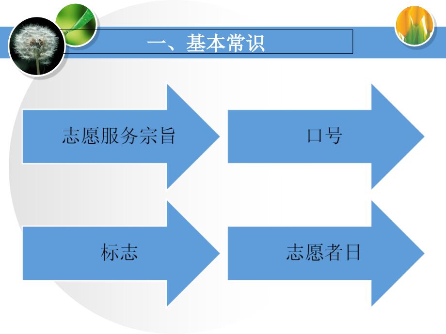 青年志愿者协会培训.ppt_第2页
