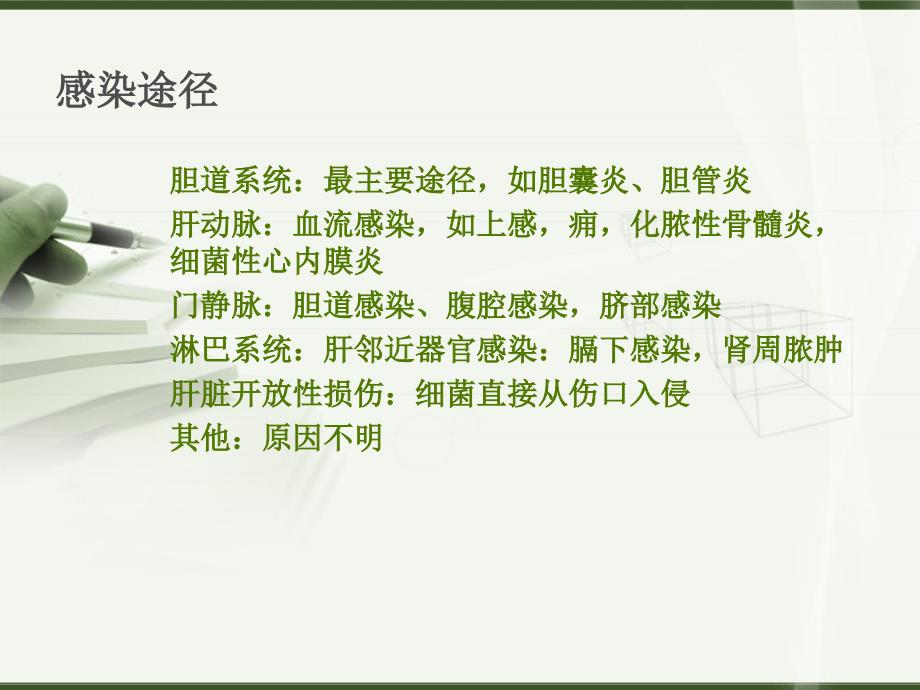 肝脓肿教学查房介绍.ppt_第3页
