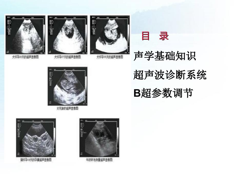 超声基础知识PPT课件.ppt_第2页