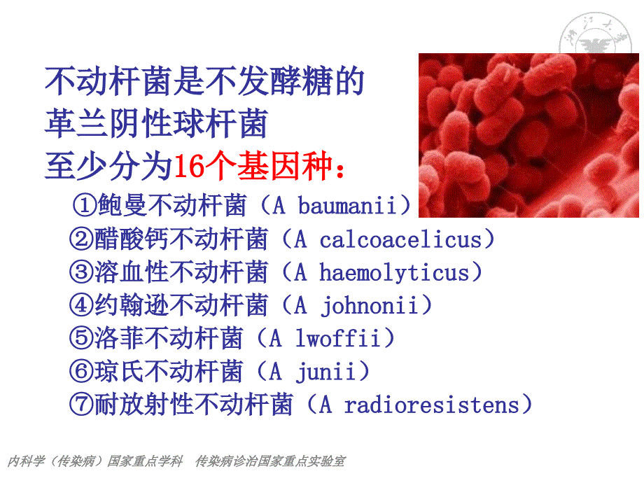 鲍曼不动杆菌流行及治疗俞云松.ppt_第2页
