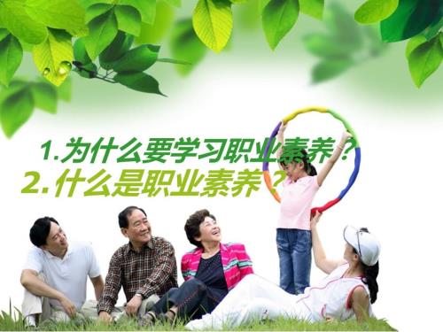 职业素养教案.ppt