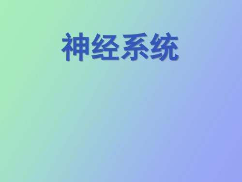神经系统监测及护理.ppt