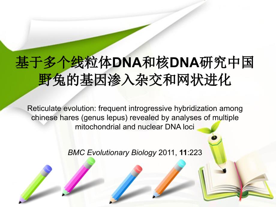 网状进化PPT课件.ppt_第1页