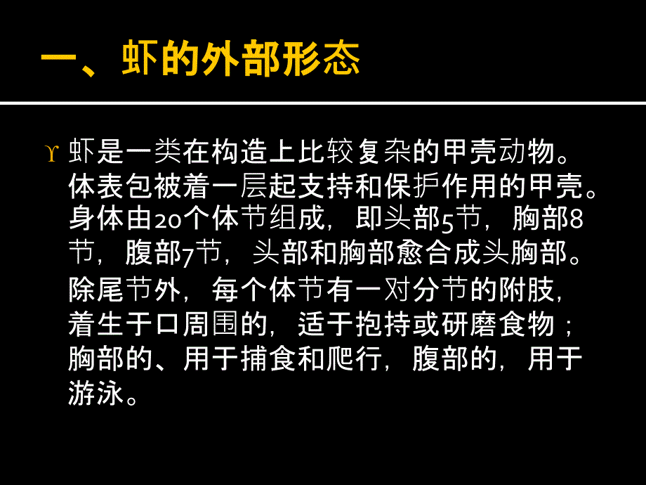 虾类的养殖PPT课件.ppt_第3页