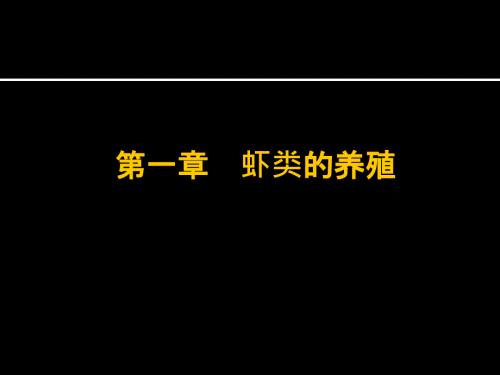 虾类的养殖PPT课件.ppt