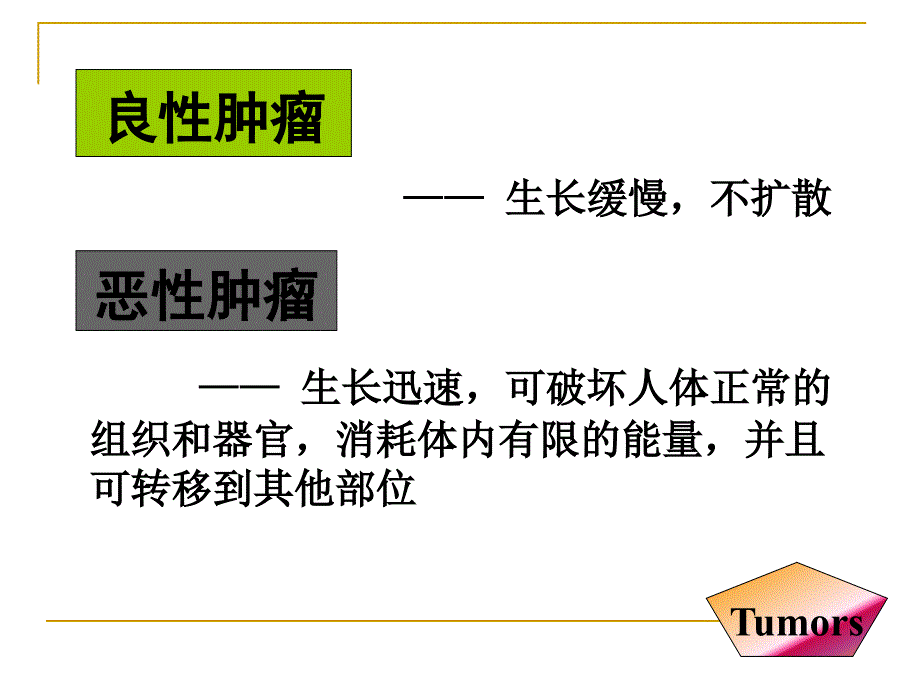 肿瘤患者的护理.ppt.ppt_第3页