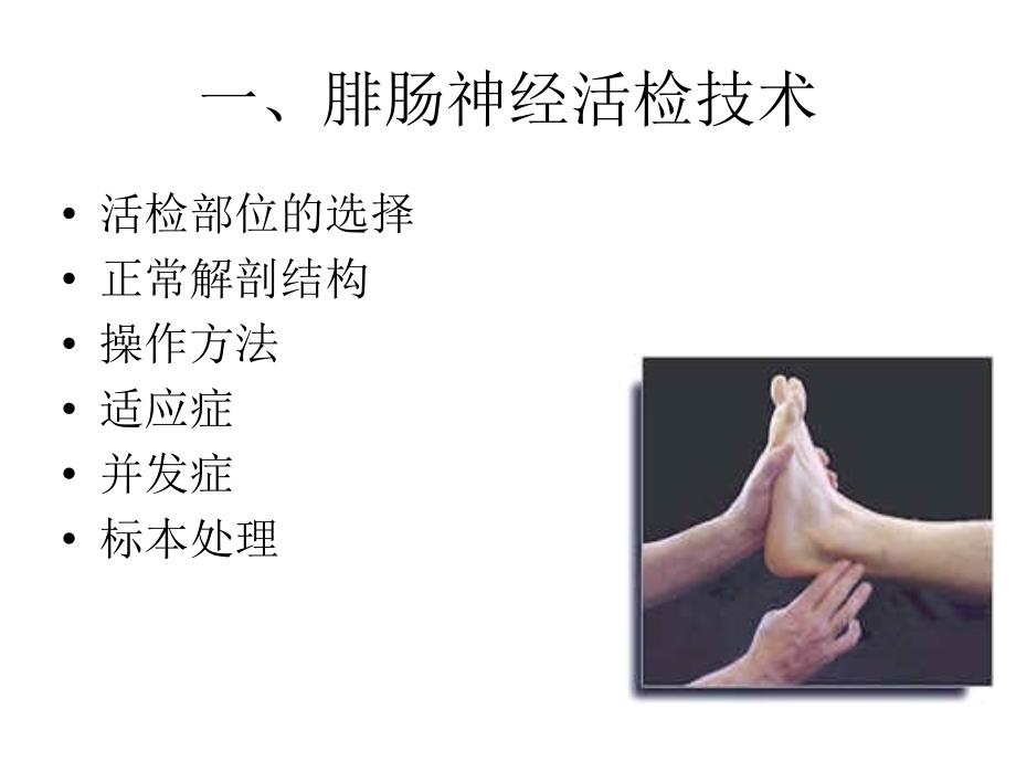 腓肠神经活检的病理读片.ppt_第2页