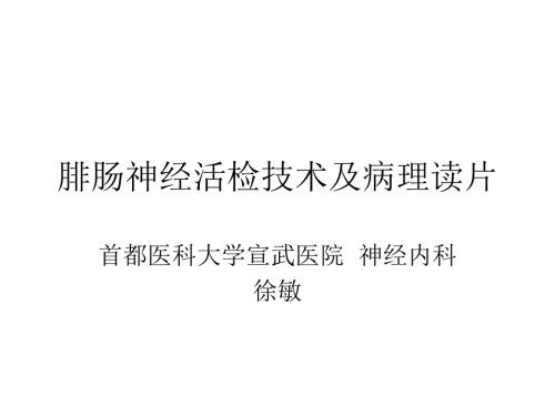 腓肠神经活检的病理读片.ppt