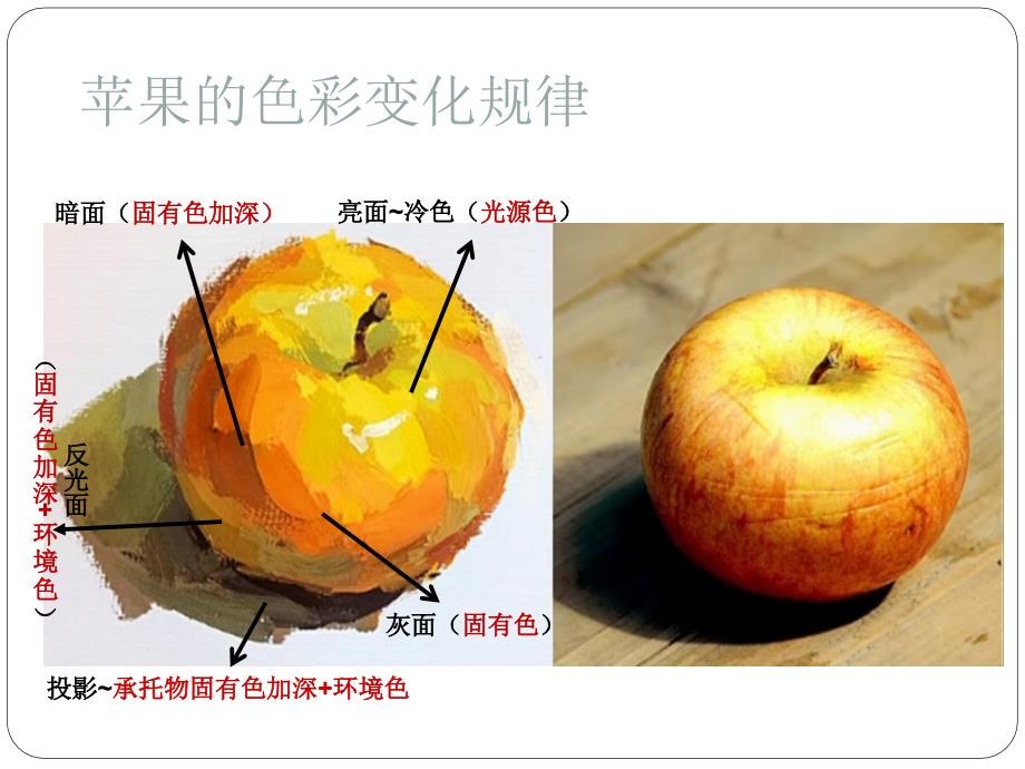 色彩静物苹果的画法.ppt_第3页